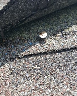 roof leak from improperly driven nail