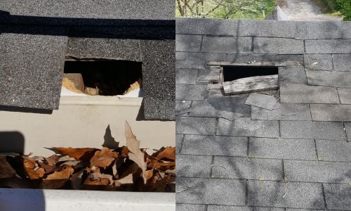 holes in roof caused by animal intrusion
