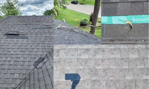 examples of wind damage, tree damage, and hail damage to asphalt shingles caused by storms