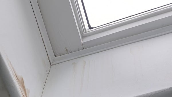 water stains from a leaking skylight