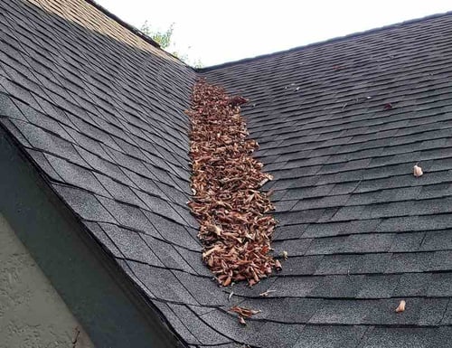 debris in a roof valley on an architectural asphalt shingle roof