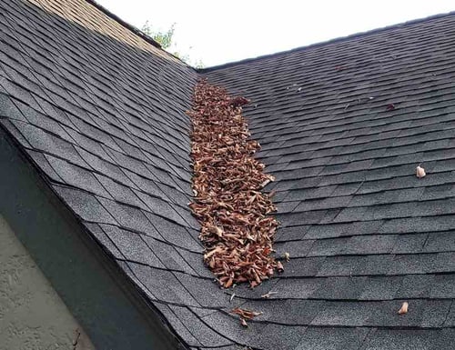 debris sitting an asphalt shingle roof valley