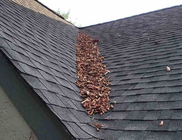 debris build up in a roof valley on an architectural asphalt shingle roof
