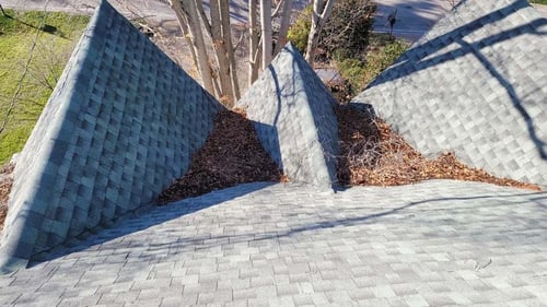 leaves, sticks, and other debris in roof valleys from an overhanging tree