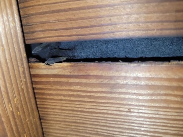 roofing nail sticking through the gap between two pieces of plank decking