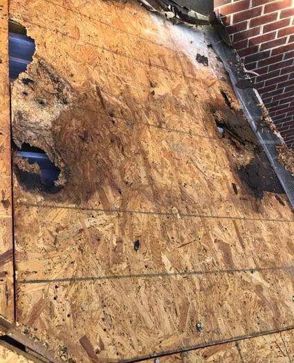 rotten roof decking 