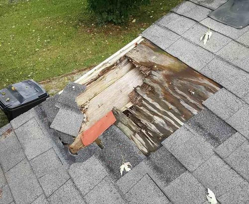 rotten roof decking