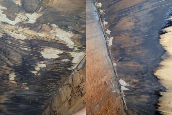 rotten roof decking from the bottom as seen in the attic