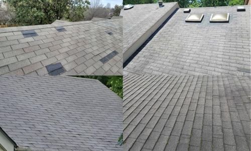 missing, curled, and granular loss on asphalt shingles that need replacing