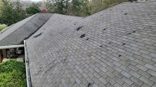 flex seal on 3tab asphalt shingle roof