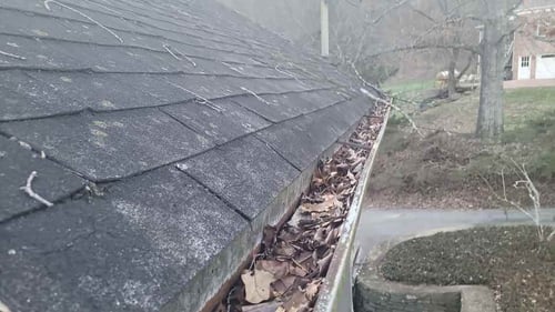gutters full of leaves and other debris