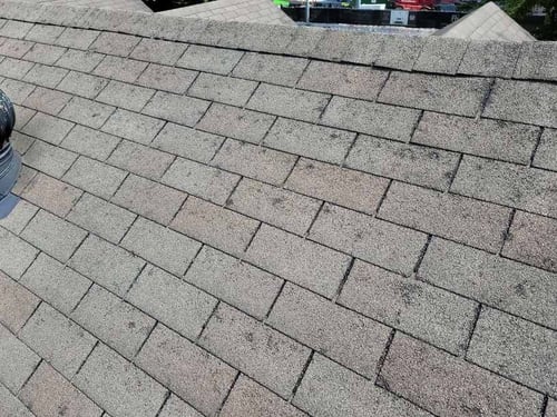 hail damage to 3 tab asphalt shingles