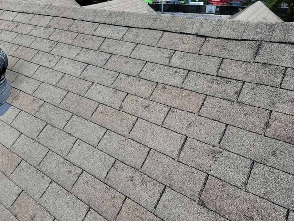 hail damage to 3-tab asphalt shingles