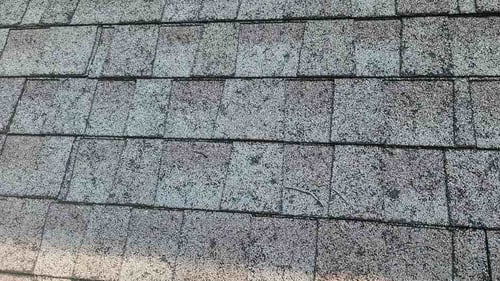 hail damage on architectural asphalt shingles