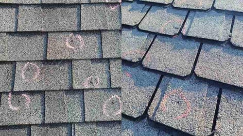 hail damage to shingles