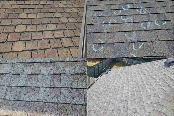 examples of hail damage to luxury and architectural asphalt shingles