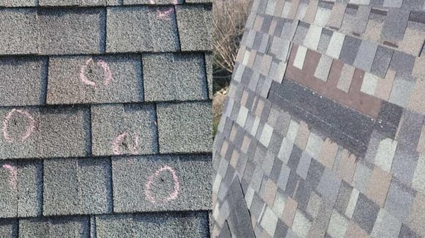 hail and wind damage to architectural asphalt shingles