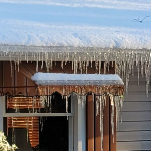 ice damming forming on a roof