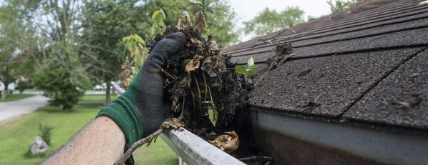 clearing debris from clogged gutters