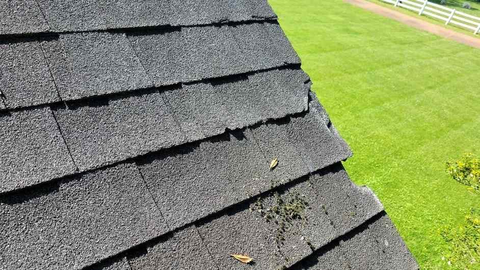 Should I Replace My Roof If It Is Not Leaking?