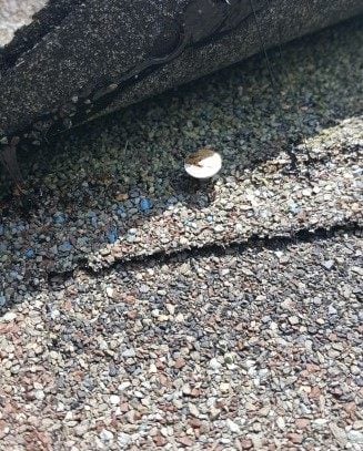 nail backed out through asphalt shingles