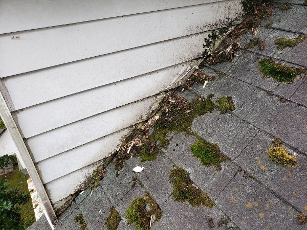 moss growth on old asphalt shingle roof that needs to be replaced
