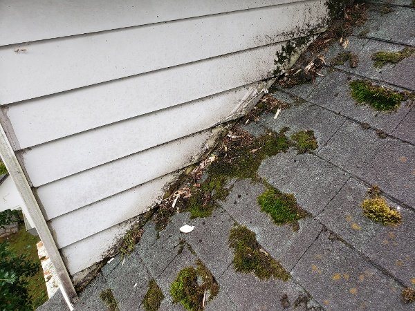 moss on an old asphalt shingle roof