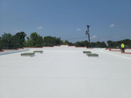 large TPO roof 