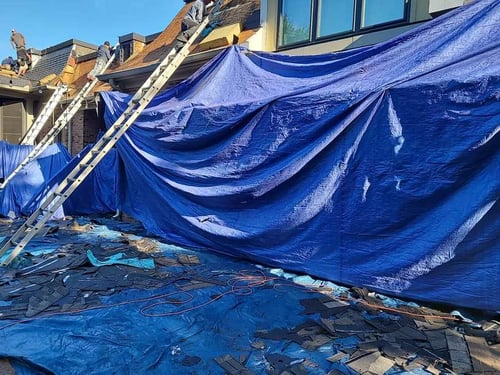 tarps covering landscaping to protect it during a roof replacement