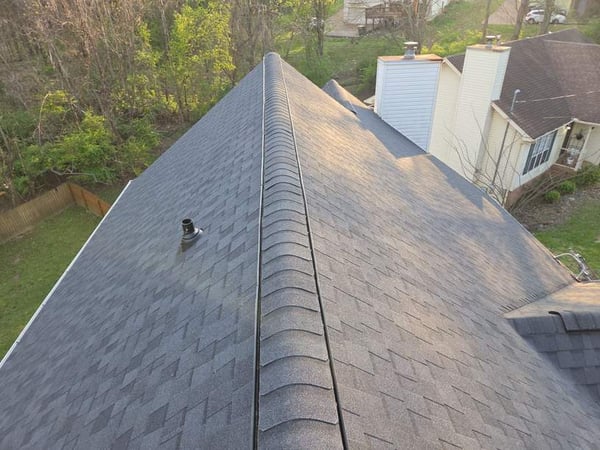 architectural asphalt shingle roof