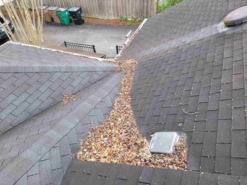 leaves and debris sitting in a roof valley