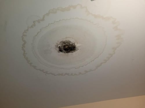 water damage on ceiling from roof leak 
