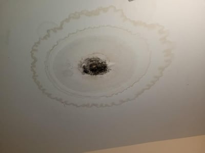Why Is Your New Roof Leaking What, What To Do When Water Is Leaking Through Light Fixture