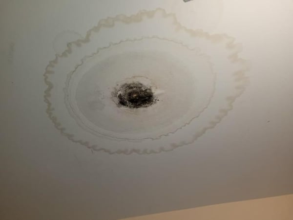 roof leak causing water damage on ceiling