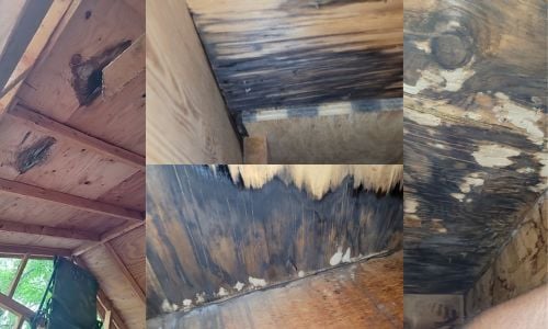 rotten and discolored decking in an attic