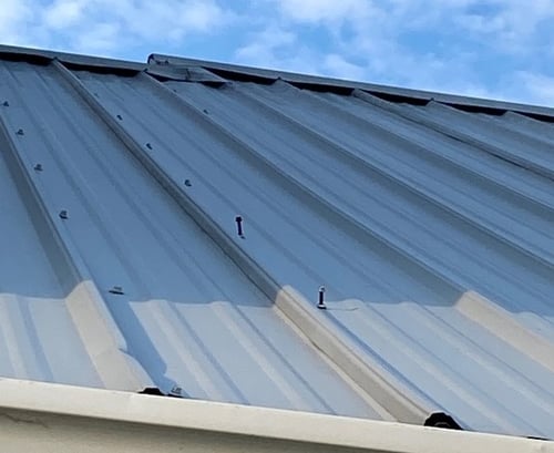 screws wallowed out of a screw down metal roof