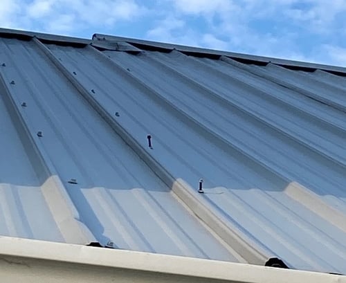 Exposed fasteners on a metal roof.