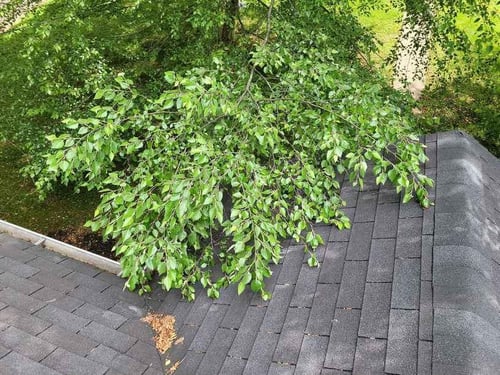 tree damage to roof in Nashville