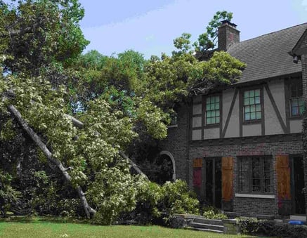 storm damage to asphalt roof