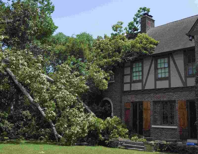 Does Homeowners Insurance Cover Roof Damage From Trees?