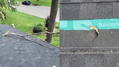 fallen tree limb  on an asphalt roof and the hole it caused