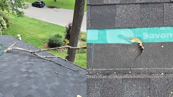 tree limb and puncture on an asphalt shingle roof