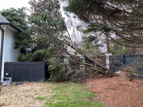 tree damage to roof in Nashville