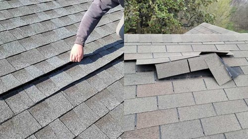 wind damage to asphalt shingles