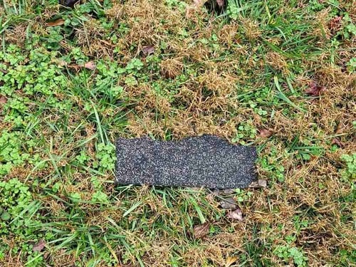 asphalt shingle found in yard after wind damage to a roof
