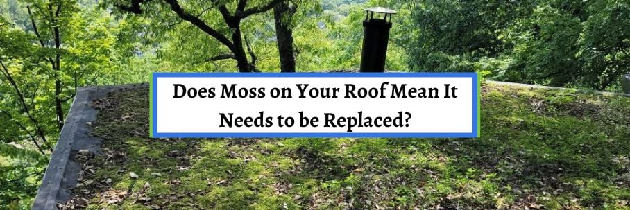 Does Moss on Your Roof Mean It Needs to be Replaced?