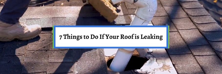 7 Things to Do If Your Roof is Leaking