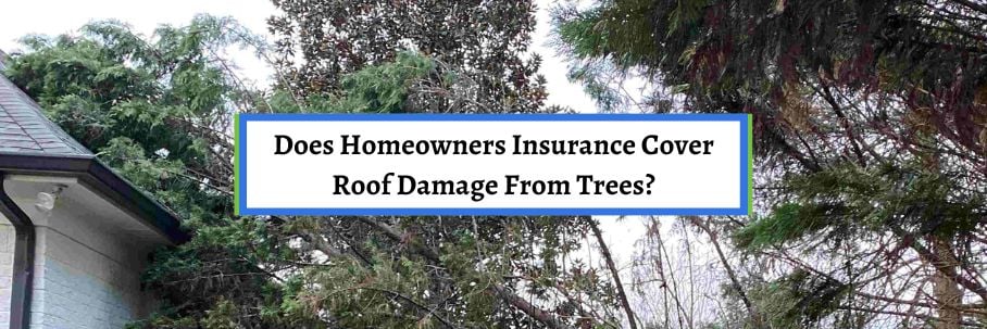 Does Homeowners Insurance Cover Roof Damage From Trees?