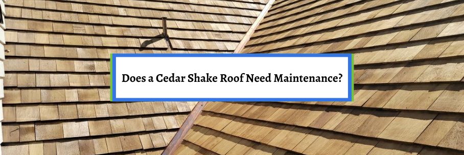 Does a Cedar Shake Roof Need Maintenance?