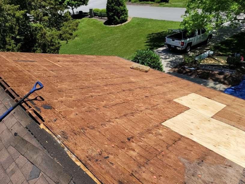 Deck Staining